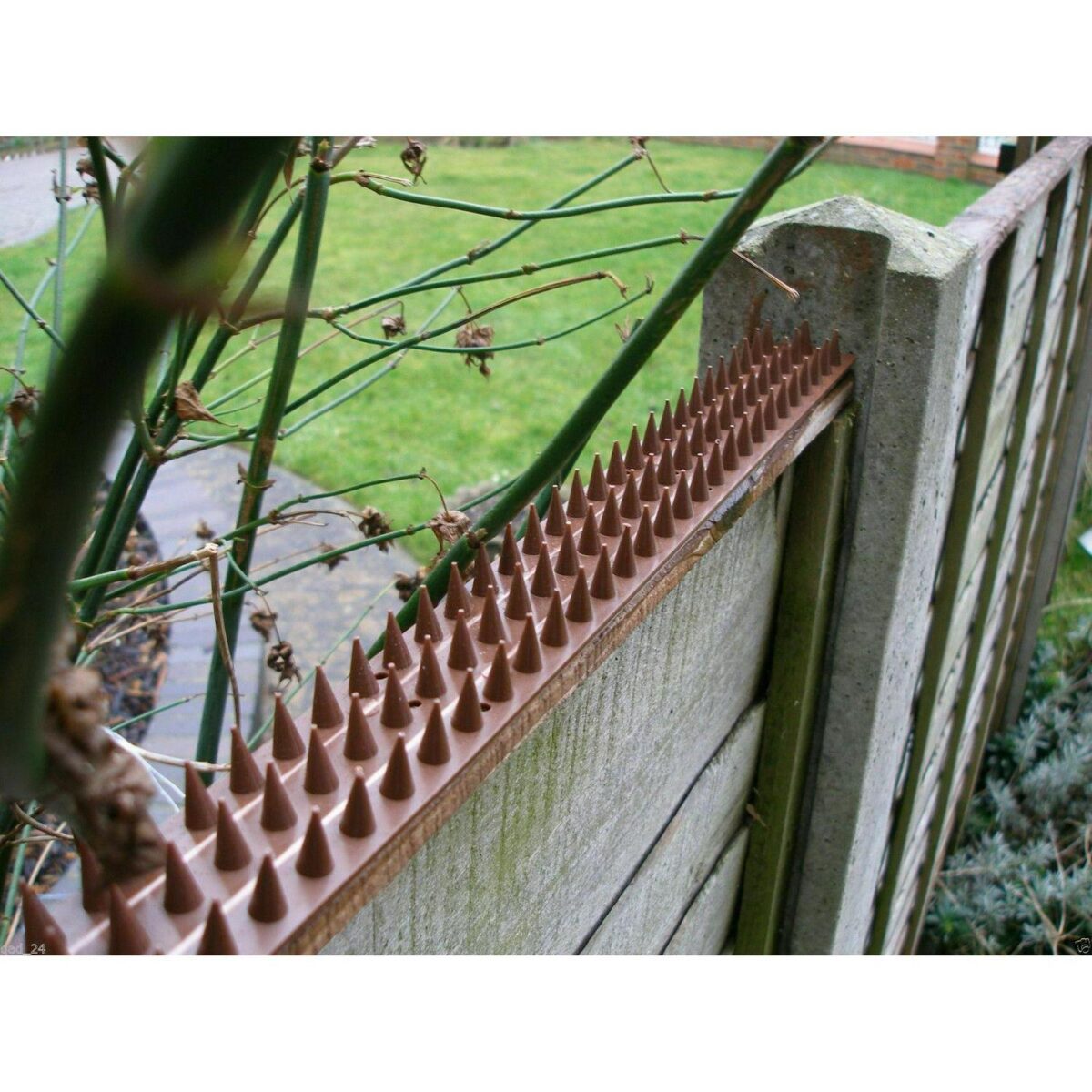 Bird Fence Wall Spik 005c624c63f81a070f80c85eb5c71f73