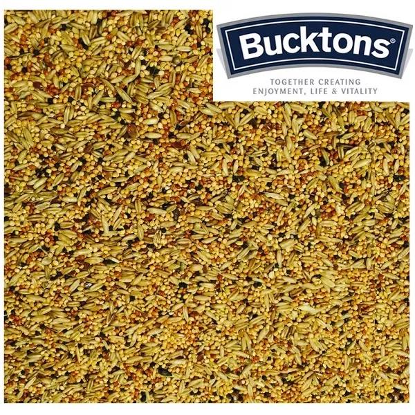 Bucktons Budgie Toni 3c8c6f87c5a8f9fb4a527d90061e935d