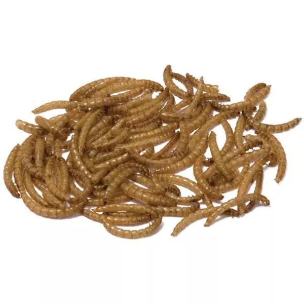 Bucktons Dried Mealw e731b3929da333e79c0c31874cd9e3e8