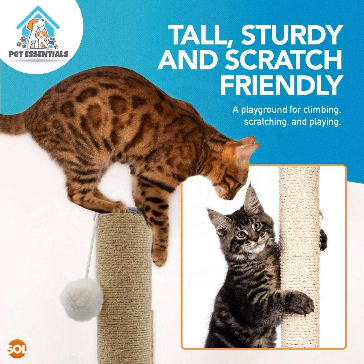 Cat Scratching Post d1bb4163cdf00f0878287653069dd005