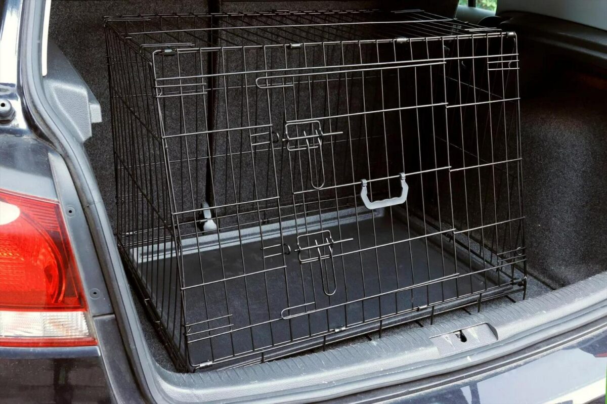 Collapsible Car Dog 76e4d9ad5f289a2de28c2060928310d2