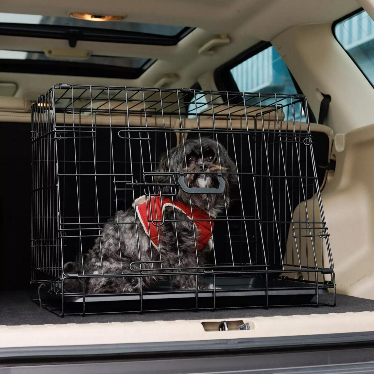 Collapsible Car Dog b1be948e37831bb73e395291ed92c3b8