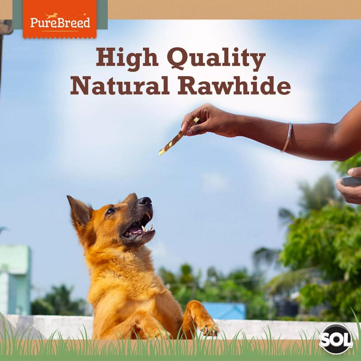 Dog Chews Treats Wra d3f0d4a3dac315ec2b599d555d9af9c3