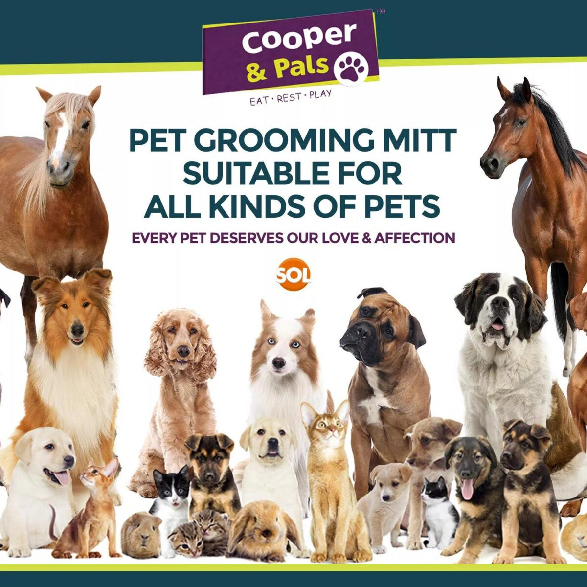 Dog Grooming Mitt Pe 38602514f6dd31a12b94d88051aff312
