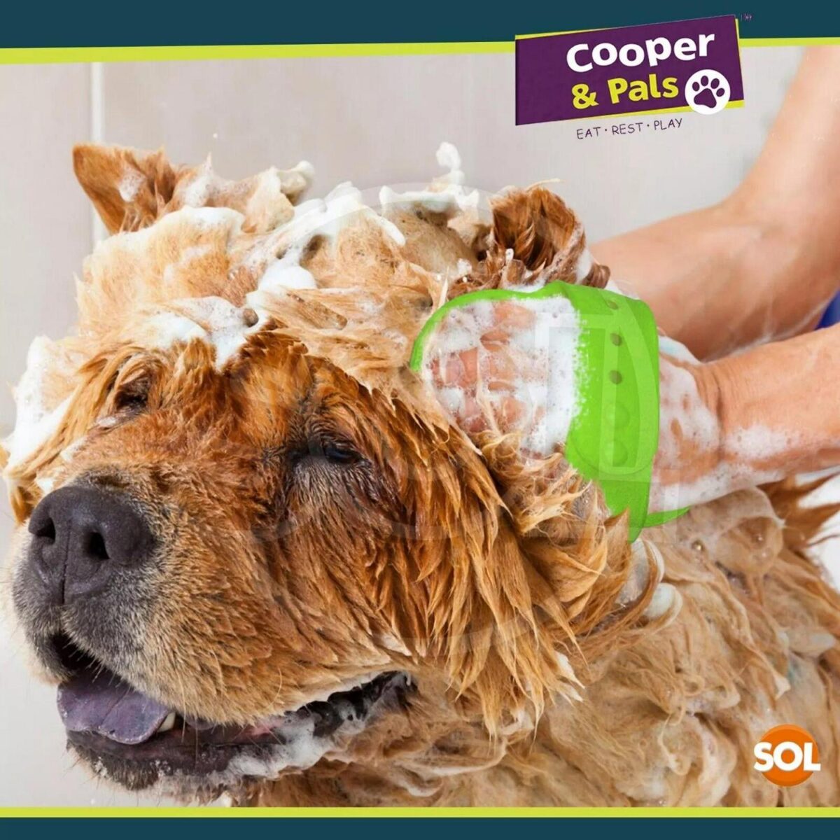Dog Grooming Mitt Pe 5d6254962e6c517ee8faa29301bcace1