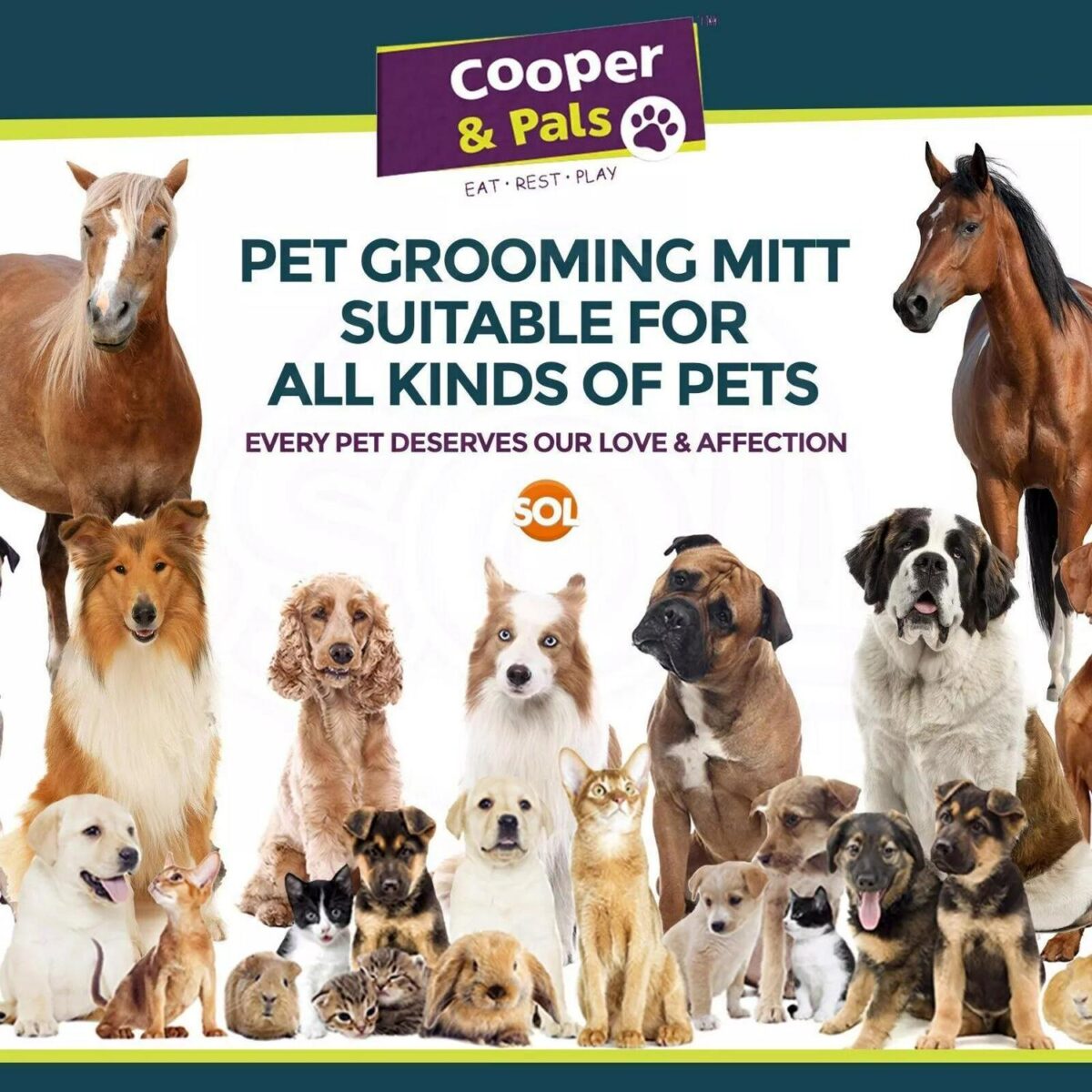 Dog Grooming Mitt Pe b2ffeaa1e0bac3c51398f2c0aaa1c25e