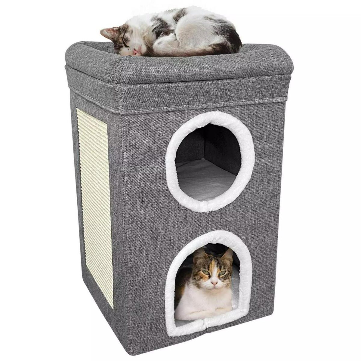 Double Large Cat Hou ab2e84d3e2f7a8b66e324a00146aa48e