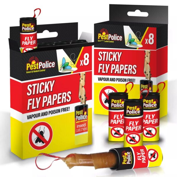 Fly Catcher Insect T 6a9b3a9dc0bc9b5a7c8ae29fcfa1fd5b