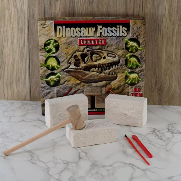 Fossils Digging Excavation Kit Dinosaur Dig Your Own Glow In The Dark Skeleton