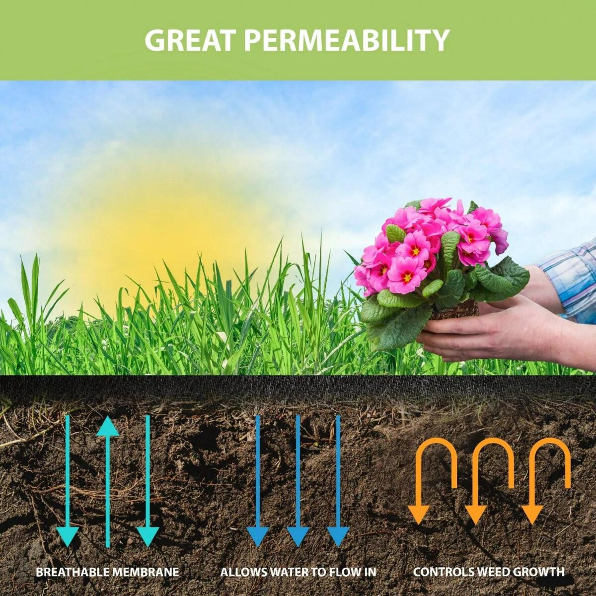 Garden Weed Control 2f6a8ec2b90b5a74ffa6619f7c6bb718