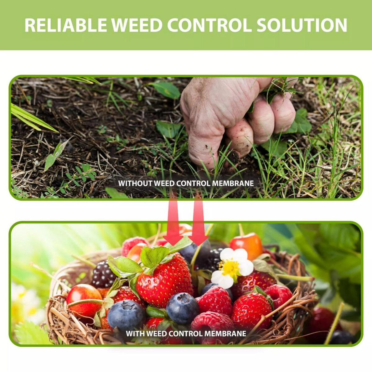 Garden Weed Control e5ca06c6e0039a55fac0abfa69512808