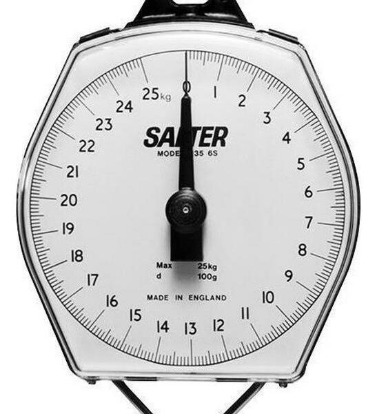 Hanging Scales 100kg 162a0a6787b6eb7cea01fe57f99b6757