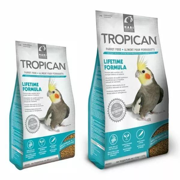 Hari Tropican Cockat 78c8c9a59ea5b1c1e19095535bd5d086