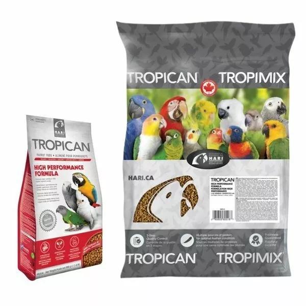 Hari Tropican Parrot 6c32f660661b3e447dcfc44bf19029e1