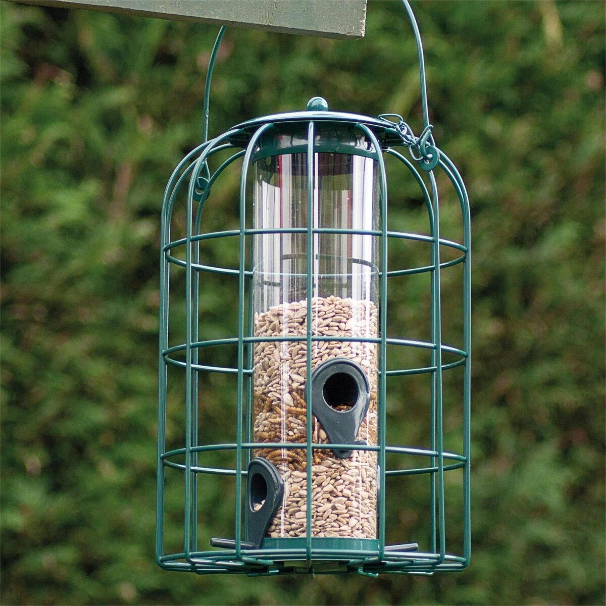 Heavy Duty Squirrel 21931b030c74164e809f7bd80ddfdf2a