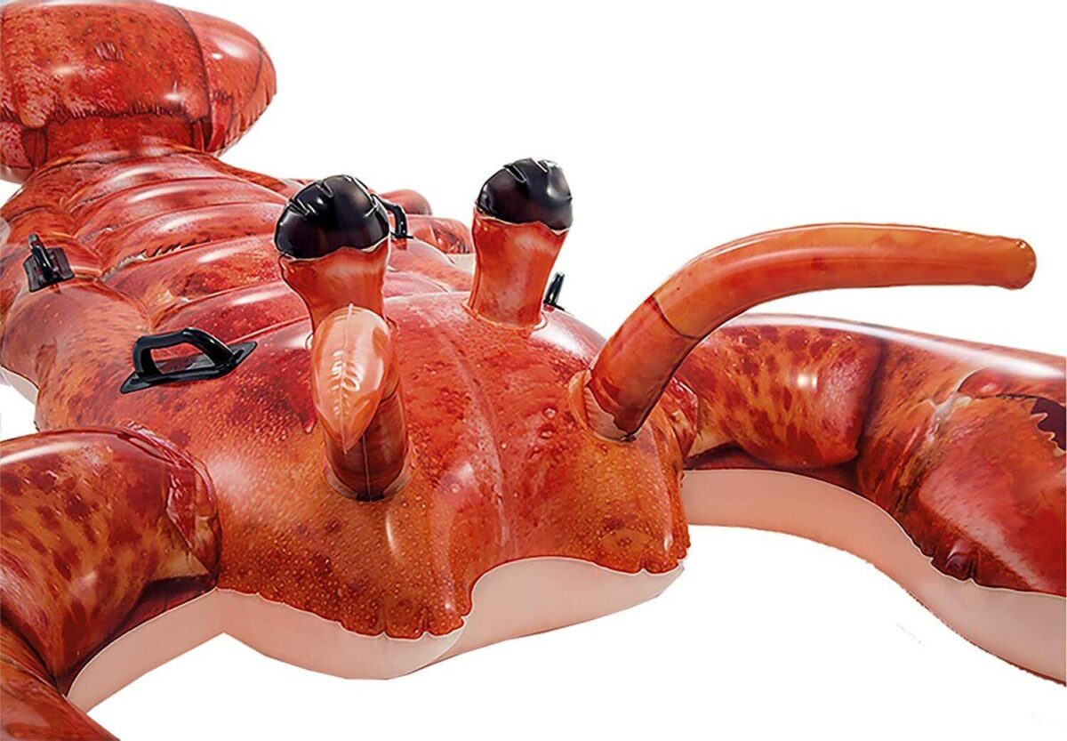 Inflatable Ride On S 080d8f5dd84fdaf88c7111136bd49b20