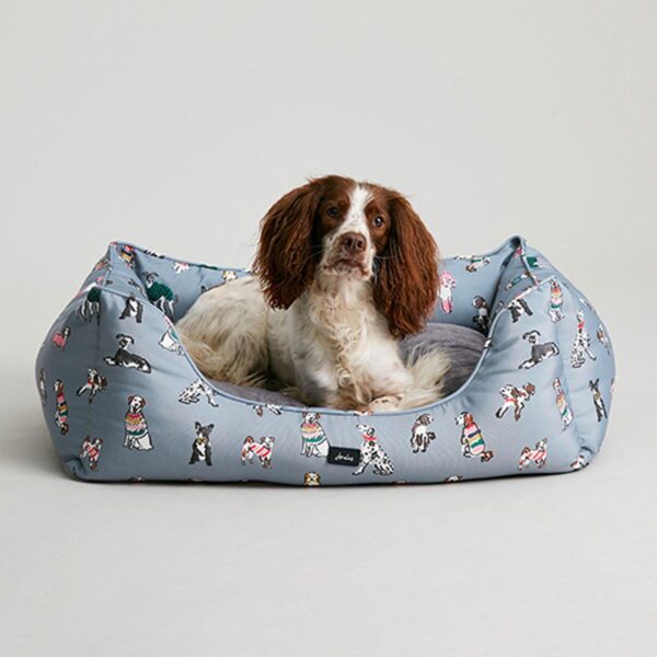 Joules Medium Pet Be dbc9945f00a2a65724851982f82a676d
