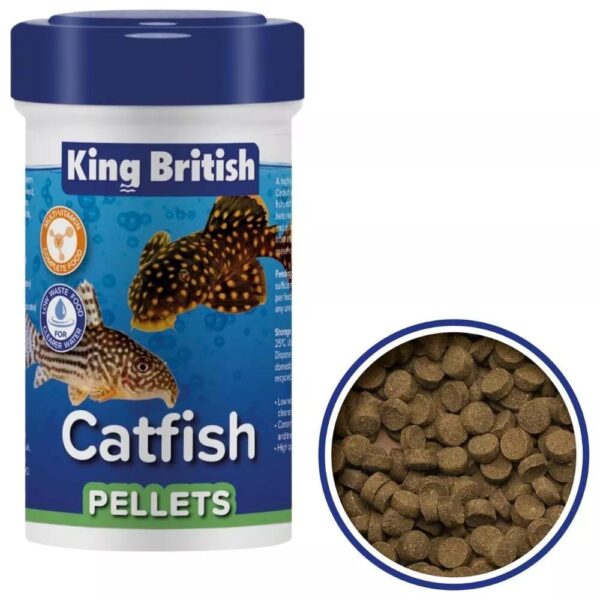 King British Catfish f19ea2c09a0c4f2de5f572e32156c3a0