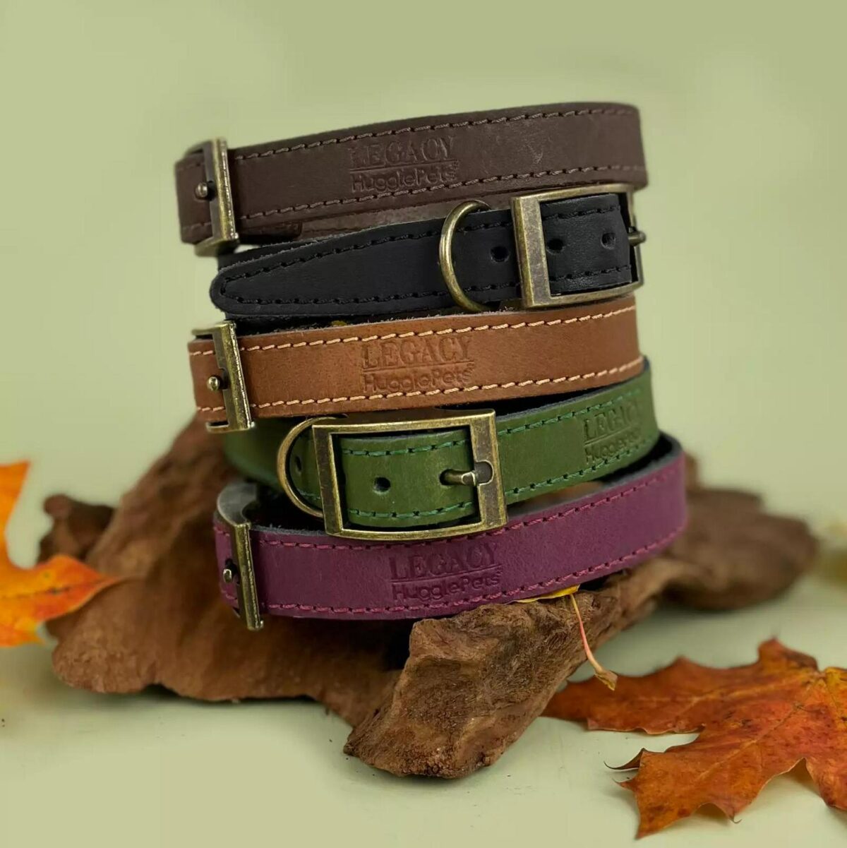 Leather Dog Collar o 181d7f41ec2f4dadcc6fb8d28eb32208