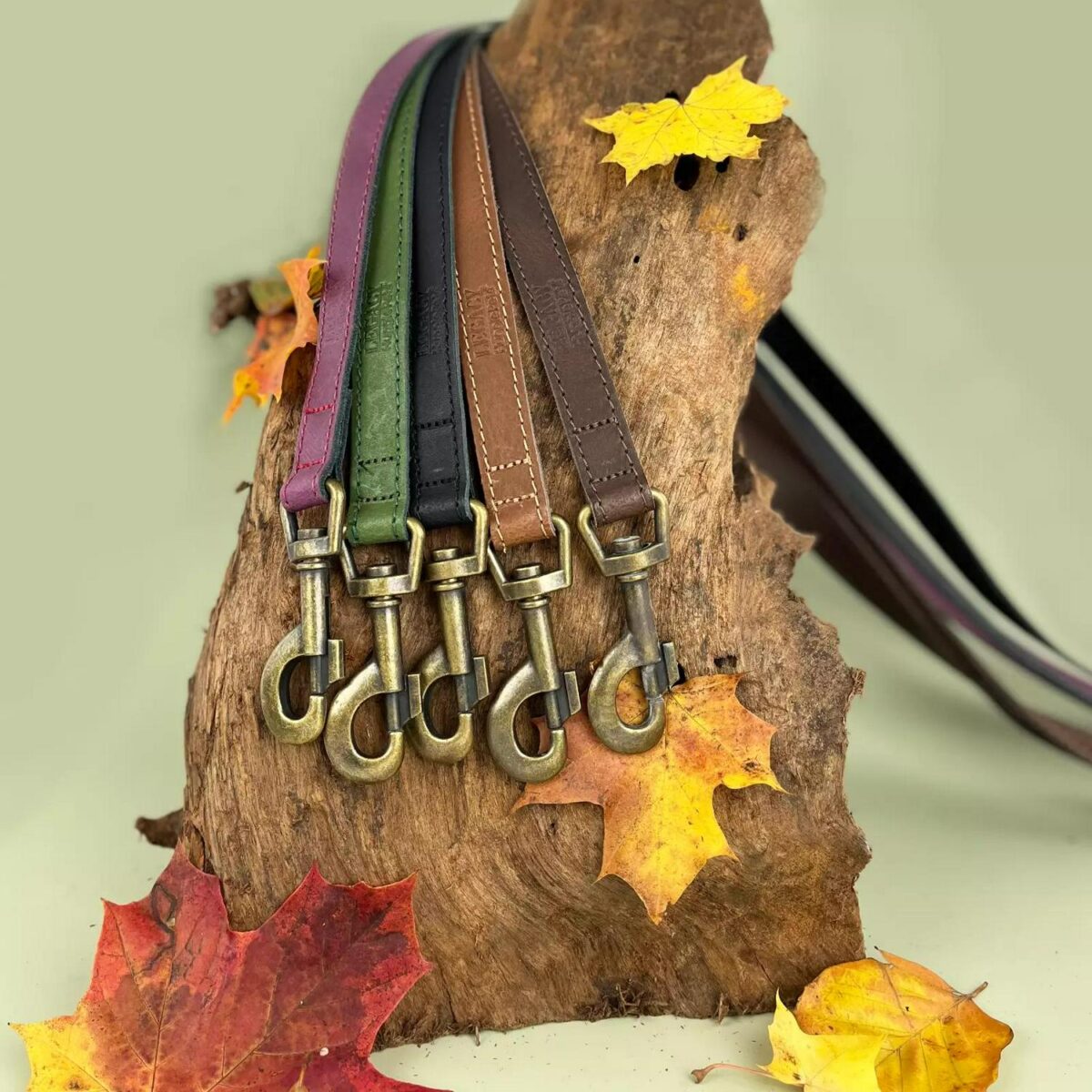 Leather Dog Collar o 33dedf5e21fd733cbbaf137fd806d050