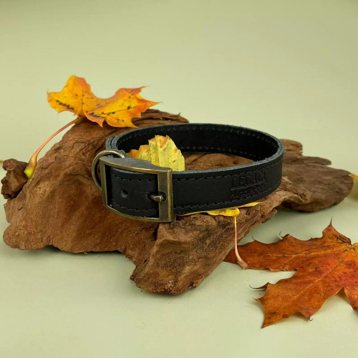 Leather Dog Collar o 63b982d5100320f0ac6e373cc64296ef