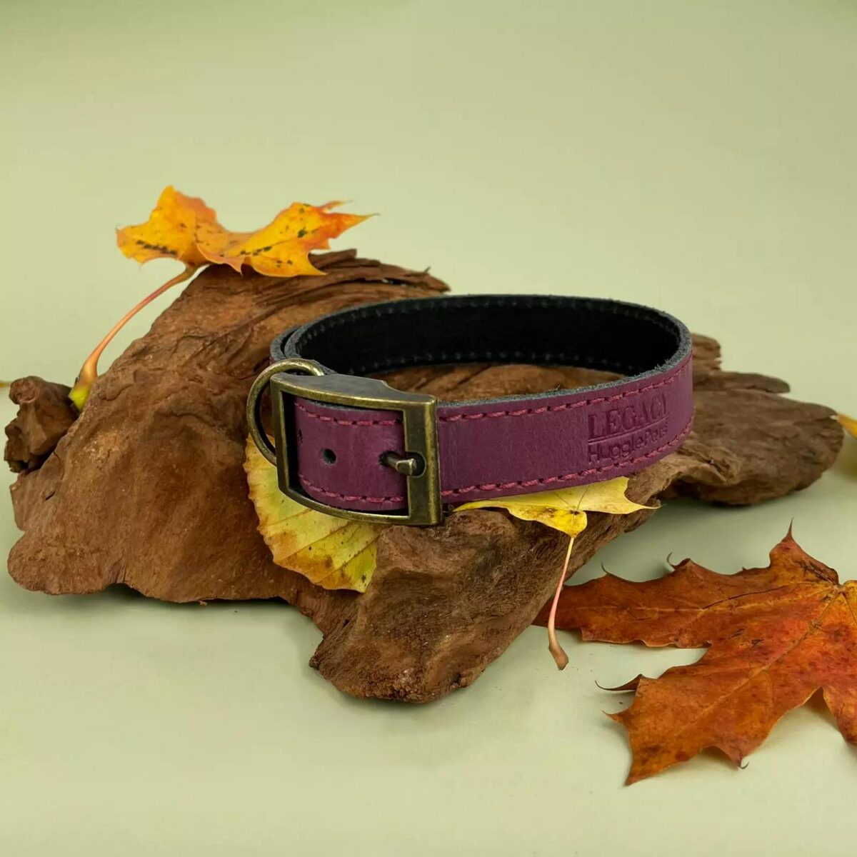 Leather Dog Collar o 83ee659d0e9bf0c1075a8851c2c2c92a