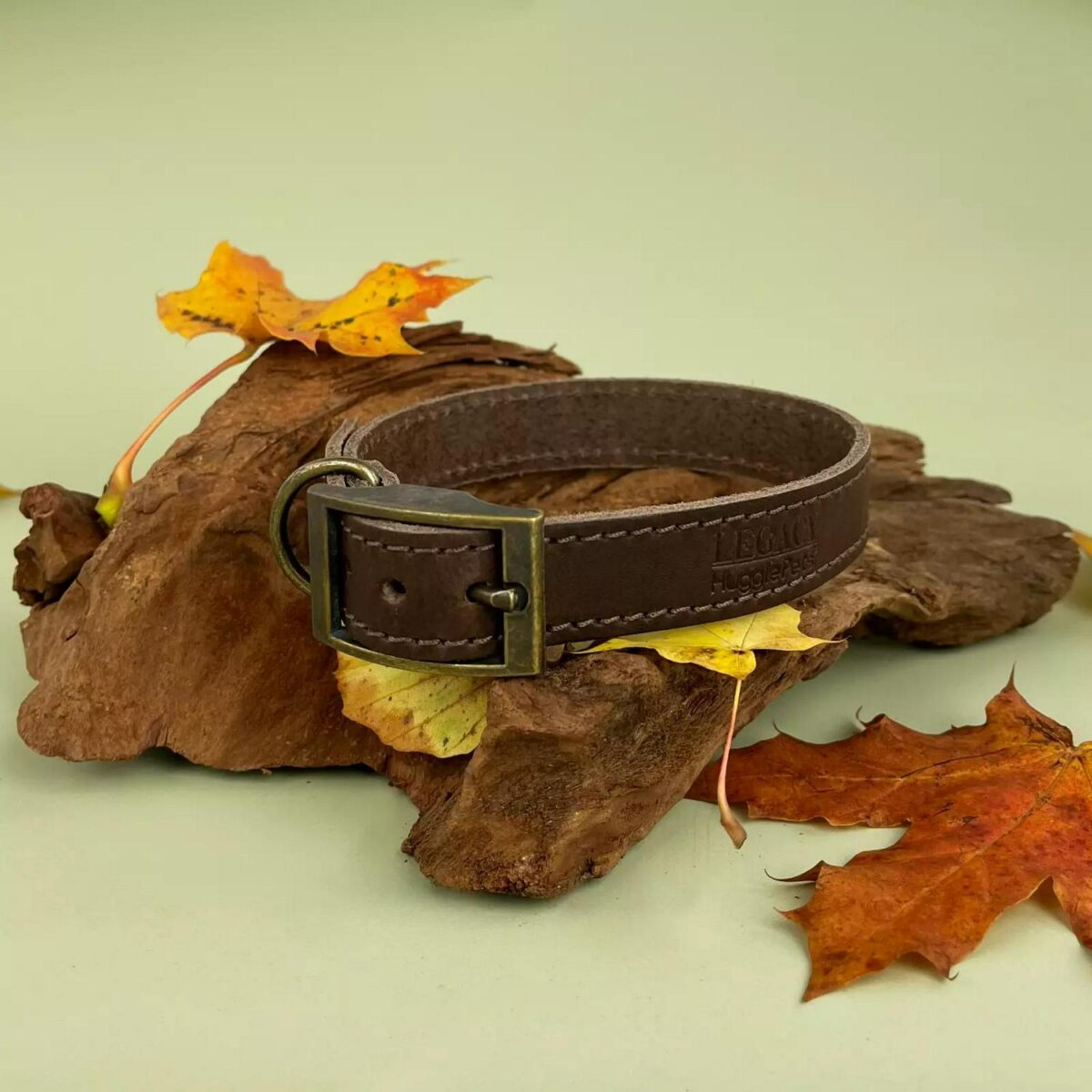 Leather Dog Collar o a80b321bc2b06b13ef94c1d928e2382b