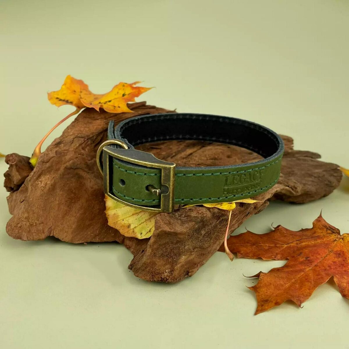 Leather Dog Collar o d557d2b4645aabd2c073b3b4e352ad4c