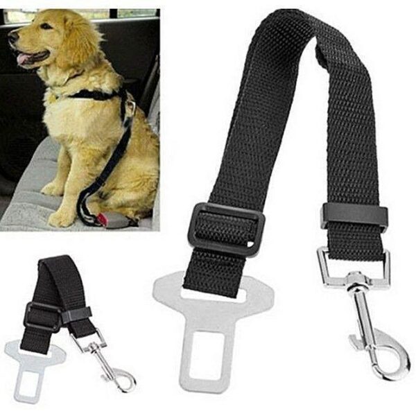 Pet Dog SEAT BELT Ad 1204e77e7ac97c15a2449f581f86ed17