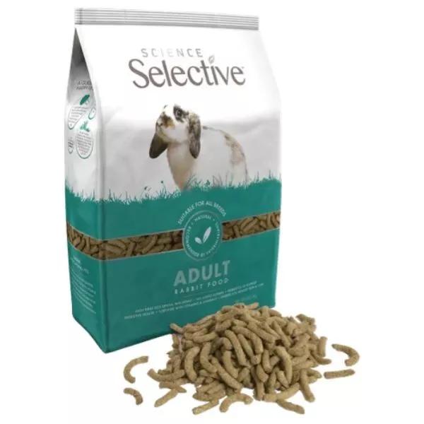Premium Adult Rabbit 80c9437764d34c497165c5ae464c485e