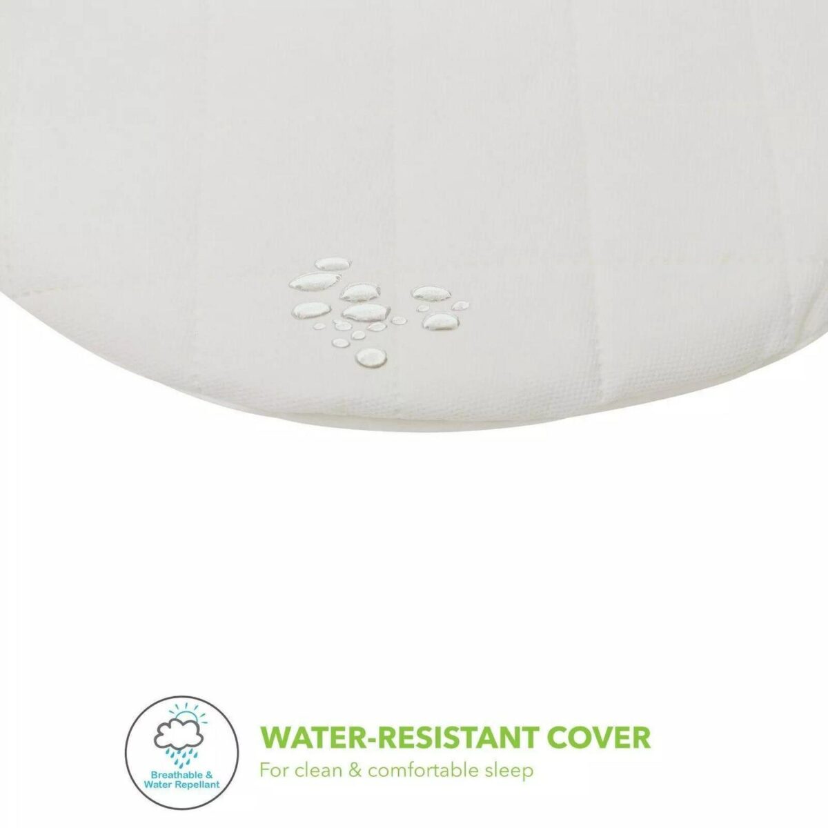 Quality Palm Moses B 68fa5c71ad4a2bfe2b224bcfeb72bbbb