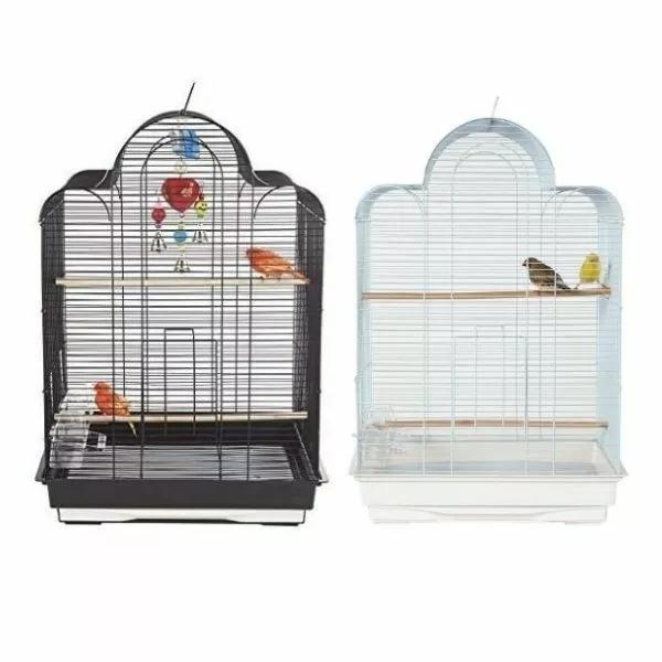 Rainforest Cages San 93aa7df29595a616bcacf537f700cc2d