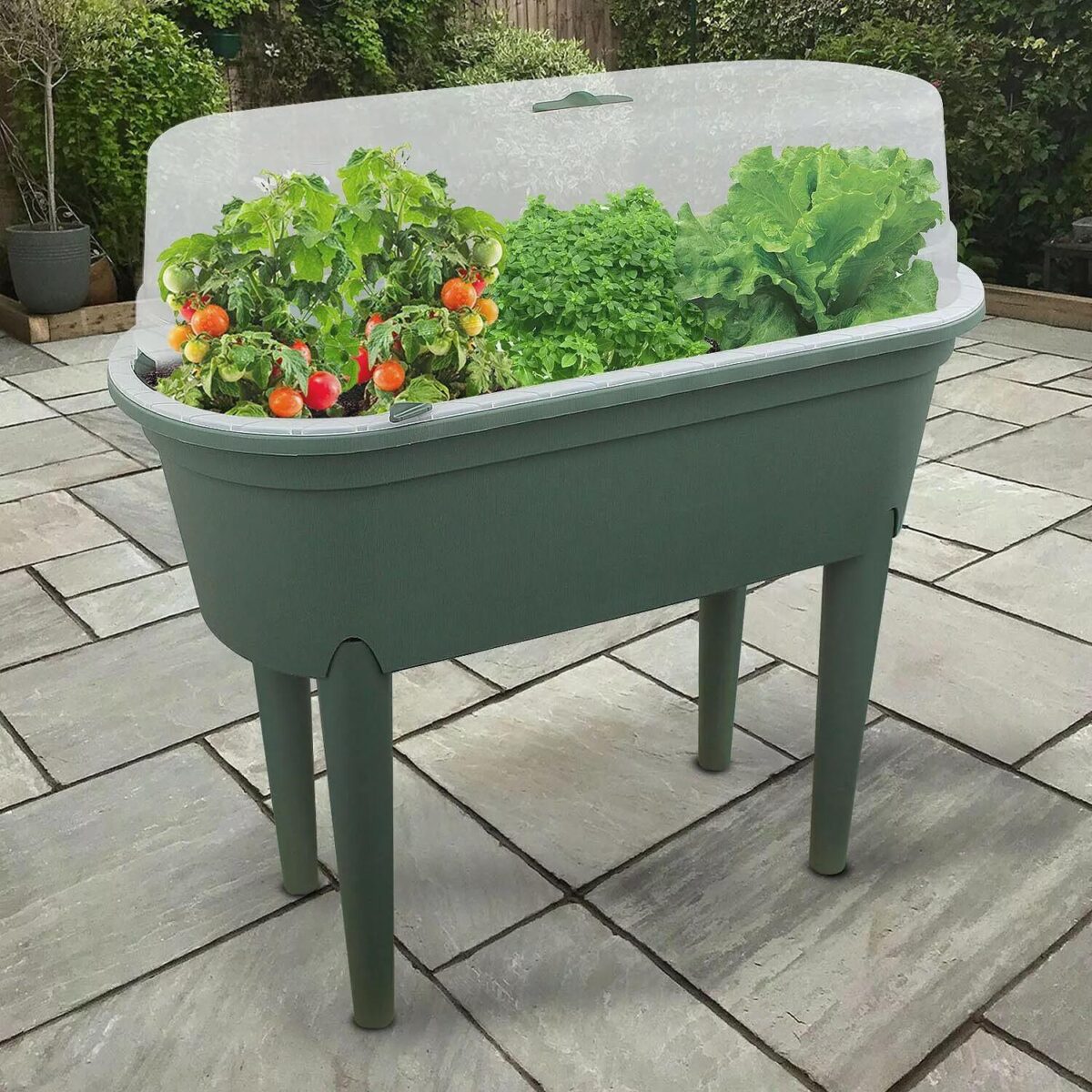 Raised Garden Plante 51791de345b728c33fac574fe1c00924