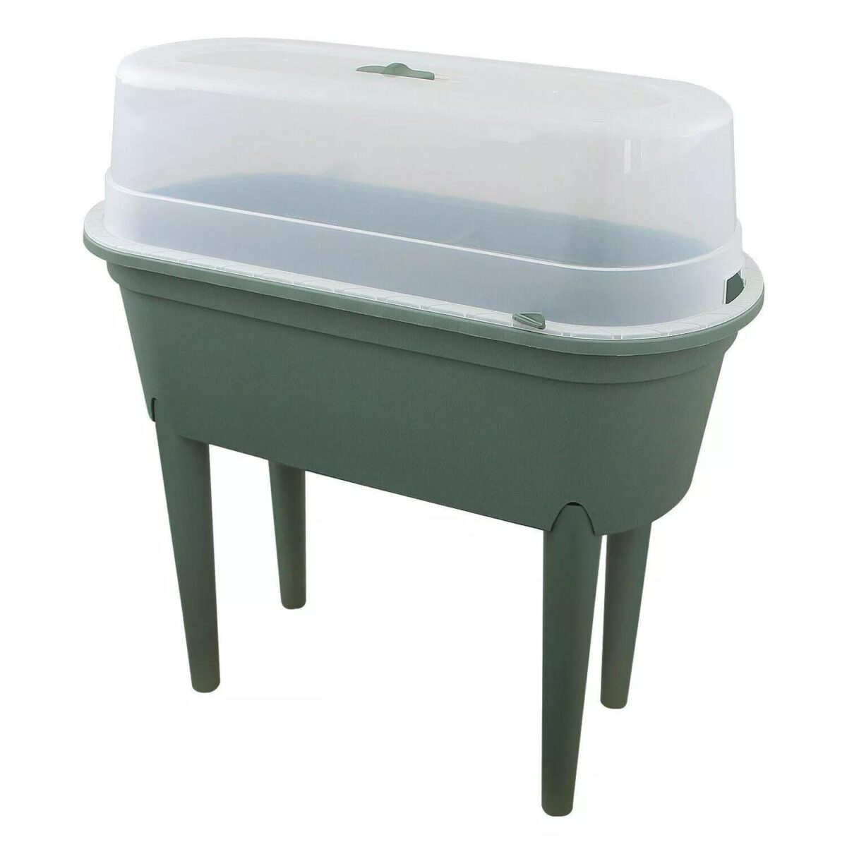 Raised Garden Plante 9fb6735162972c2edecf84fcee27c341