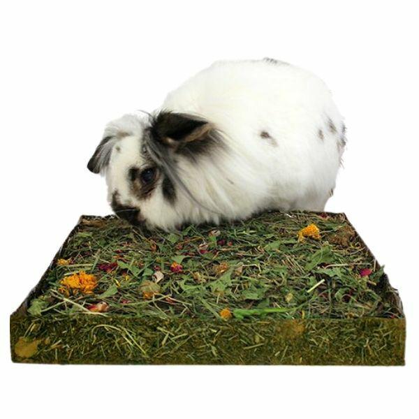 Rosewood Nibble n Di ea1b4339793a3e5e2abdb8a55c7c7d4d