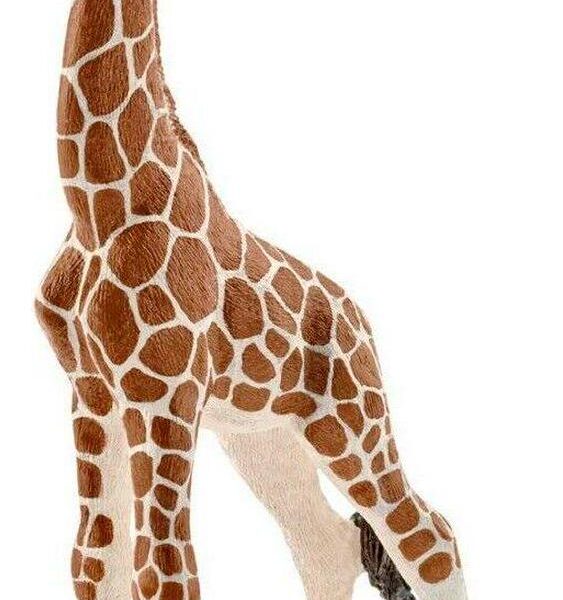 Schleich 14751 Wild 0813759c4137a09878c11048ea27ea33