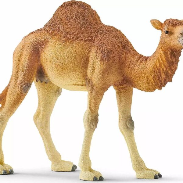 Schleich 14832 Wild b6b8f4fa8584e79803f9f00bea6d36c7