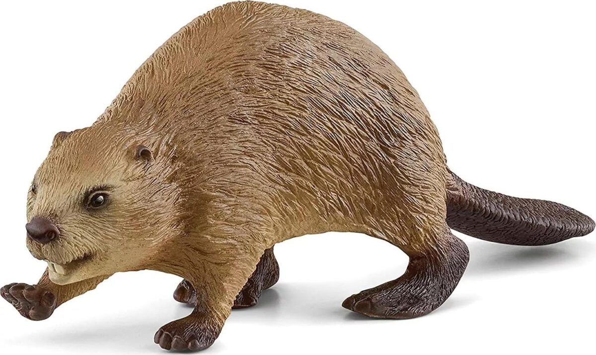 Schleich 14855 Wild 88c1139c8e66307c8574061578789686