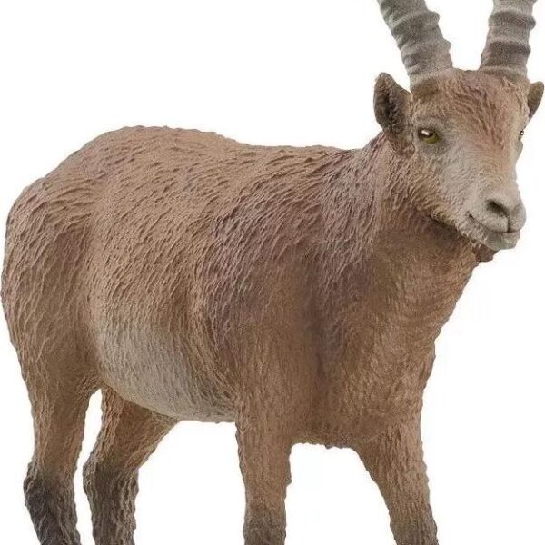 Schleich 14873 Wild 2f1f0e6ab20fcc1e6f5cb106f1776faa