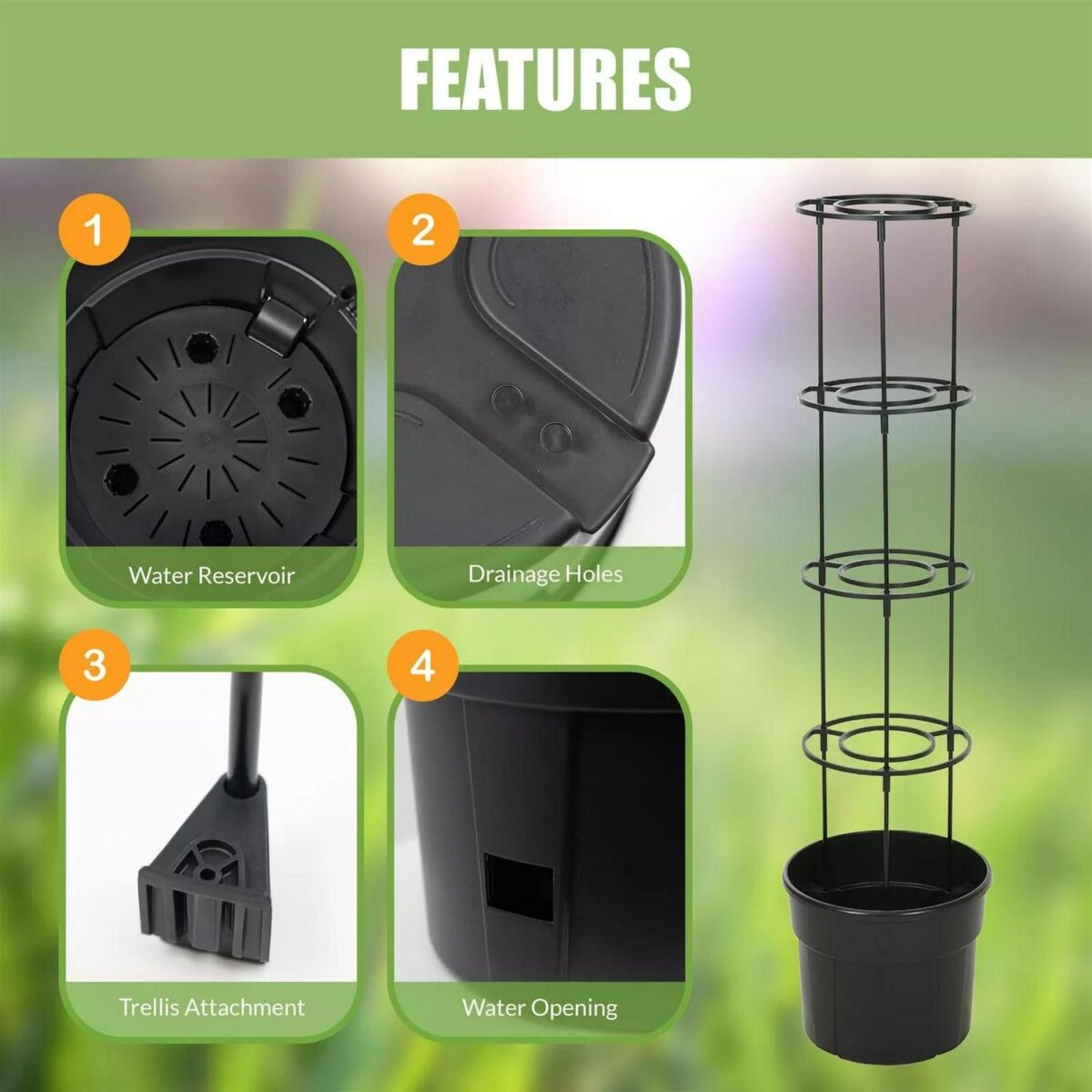 Self Watering Tomato 338c8b6845041e29962fe8a1bbbef3ee