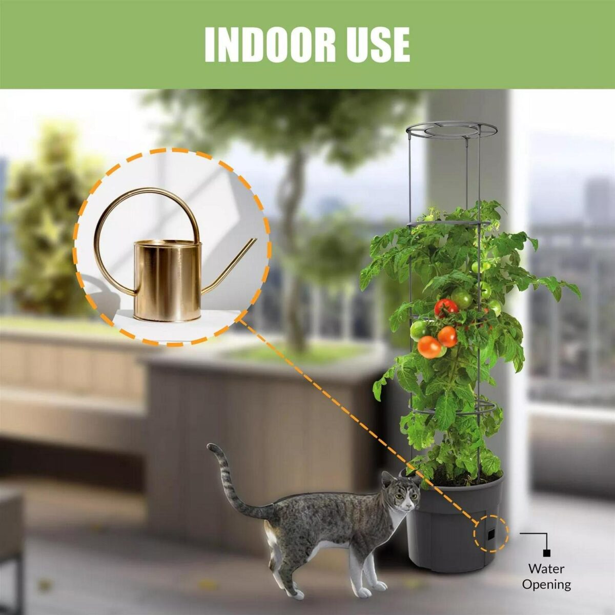 Self Watering Tomato 7b8d5782ef81de7190c4a59e47cea296