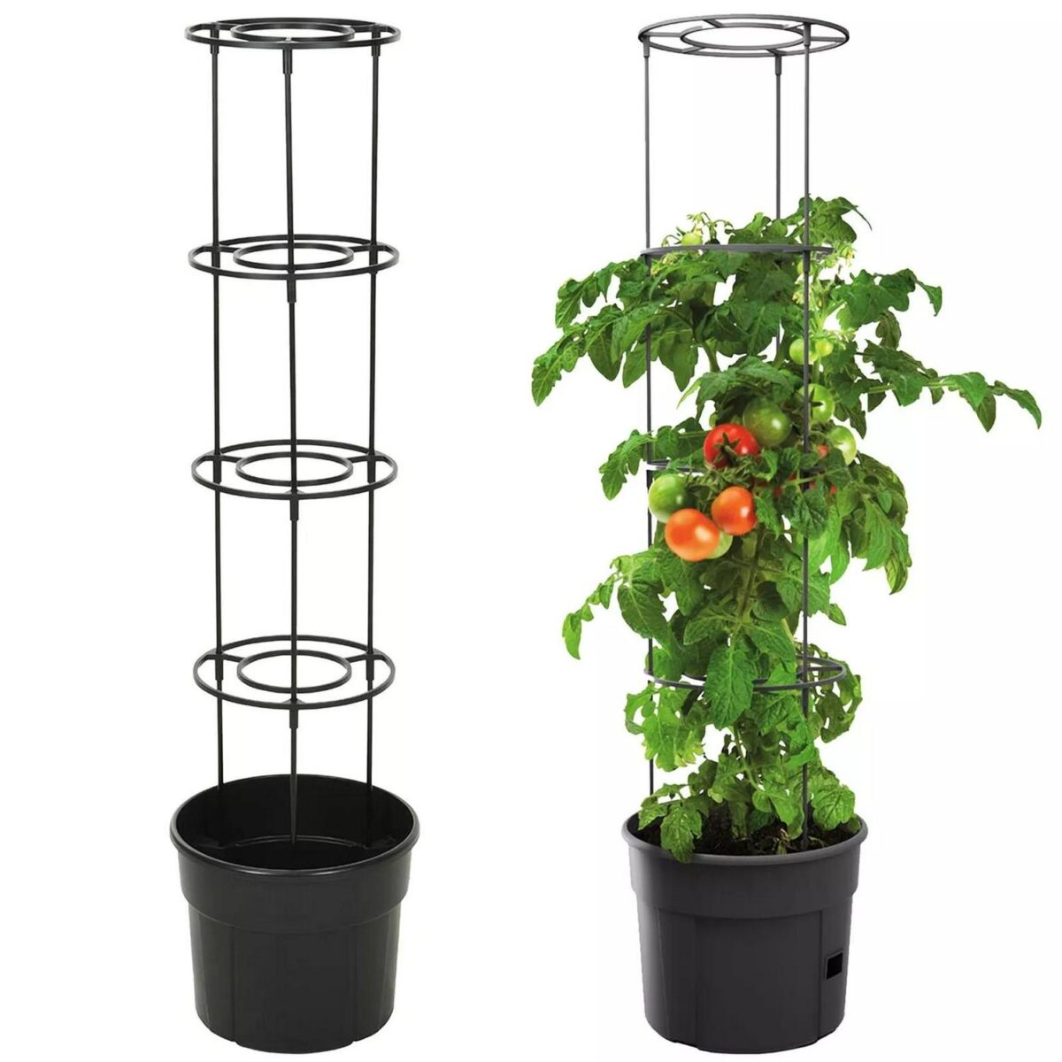 Self Watering Tomato af2106771222ffbc9c6e7dccdc0d7e81