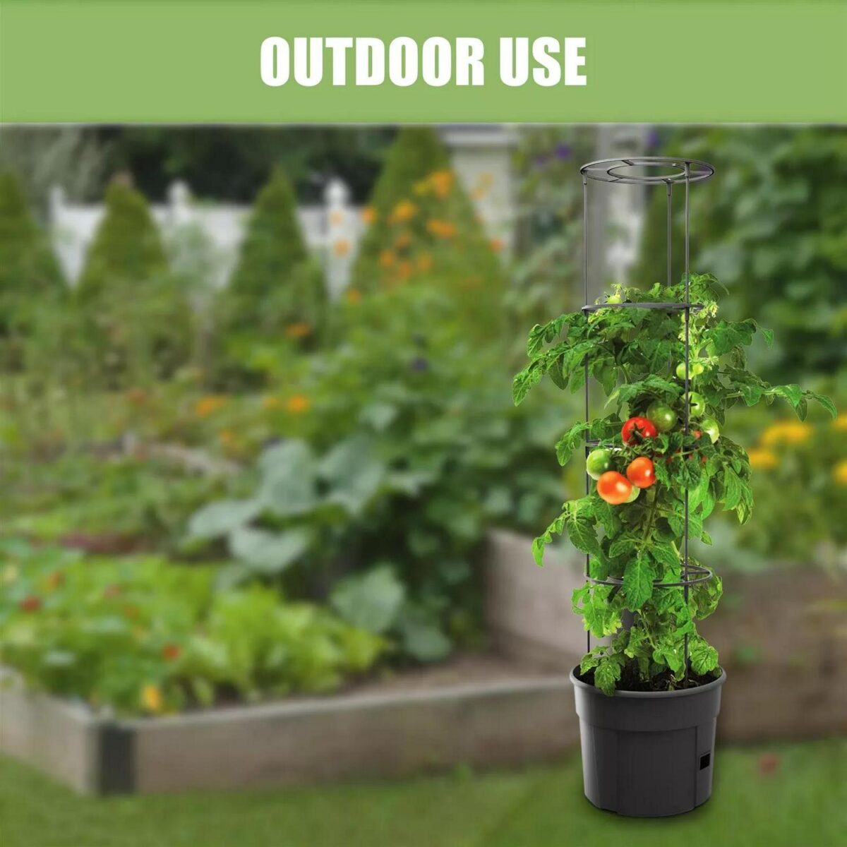 Self Watering Tomato e44aab0aeee1cacc0175d457546df43f