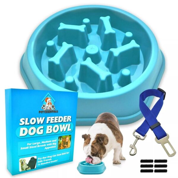 Slow Feeder Dog Bowl 614361e20a9cf5c26b7f13e085dc87e8
