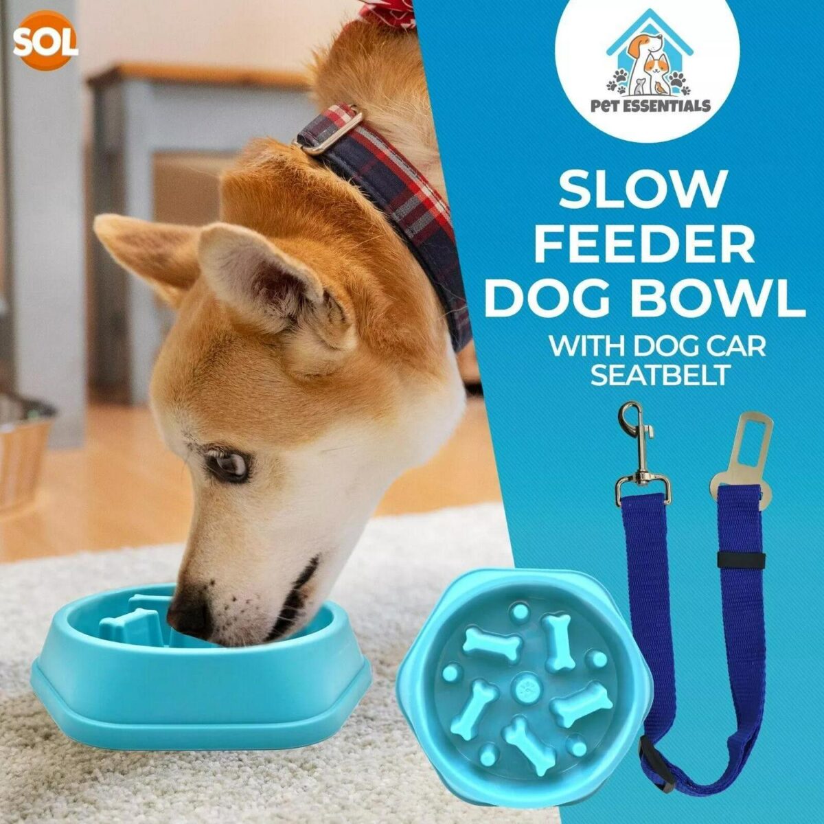 Slow Feeder Dog Bowl 62a52c53dff92ca5734963c23a90e245