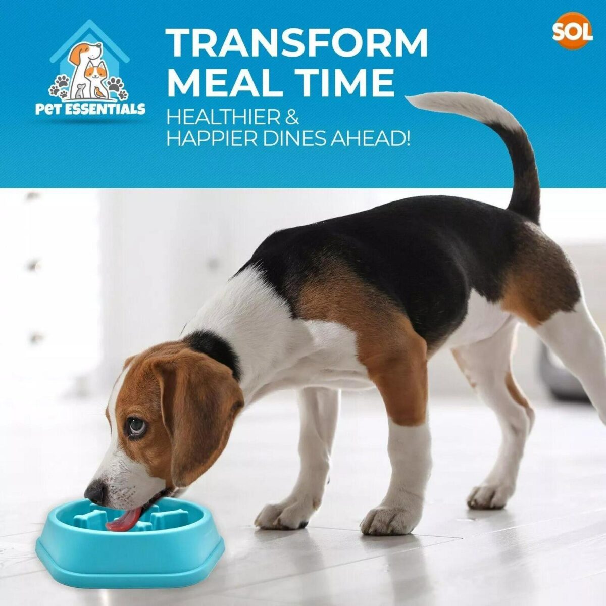 Slow Feeder Dog Bowl cd22d193d4f399c5d0993d3b7e6440db