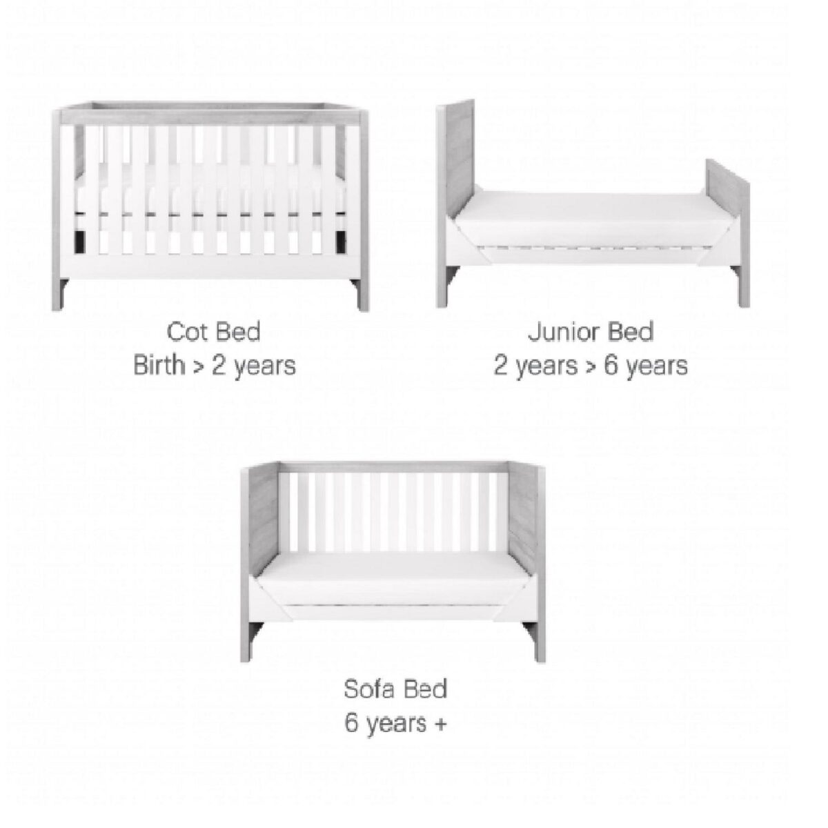 Tutti Bambini Modena 5b6bf2d1ad1a312ee4e91bab58d0fd50 2
