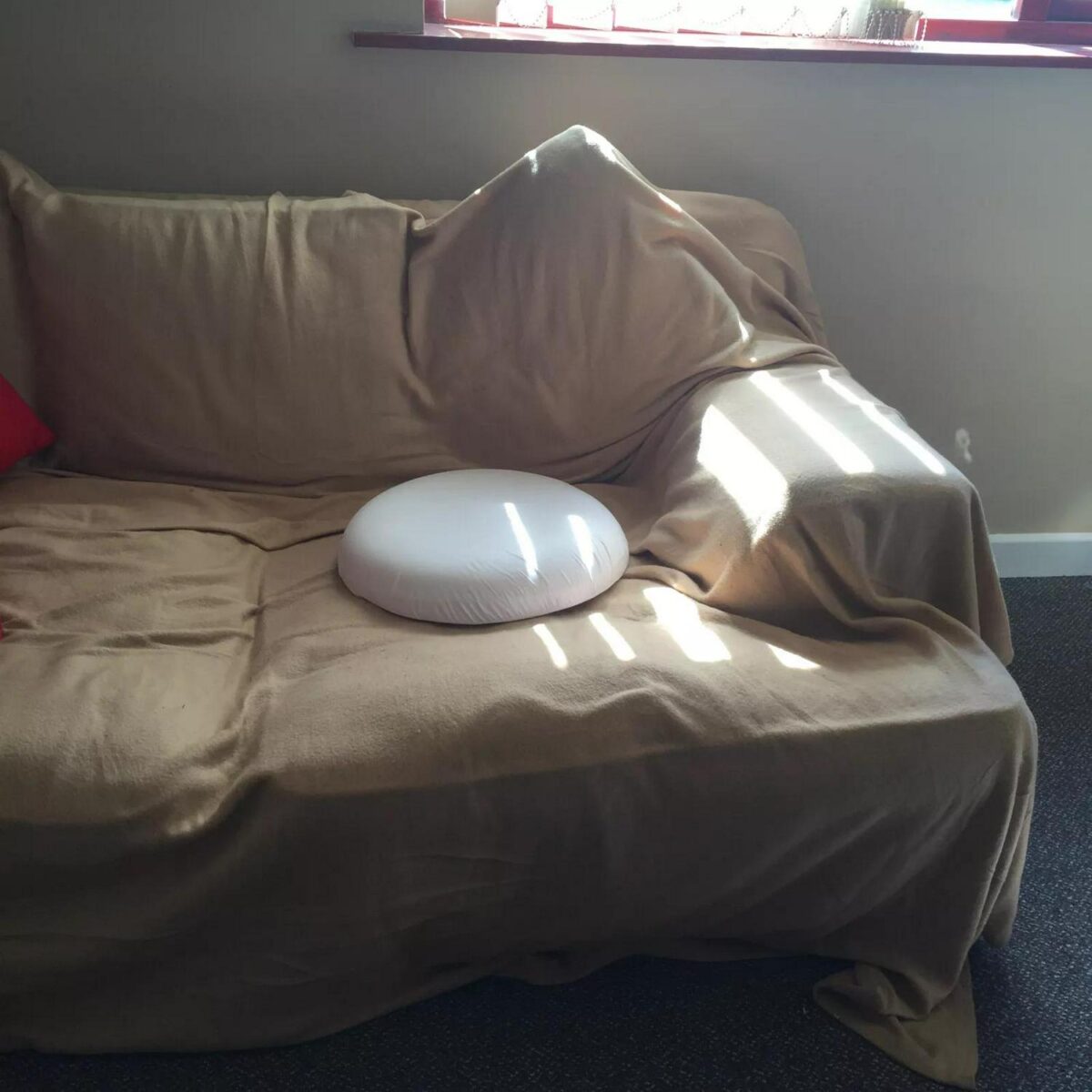 White Donut Shaped D fa8f6f26ad8d89a347dd6bb8549ed38f