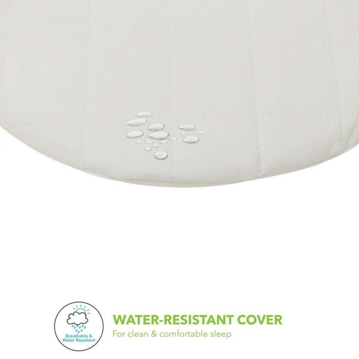 White Teddy Wash Day 804bc2e6f594ba416a45d04a8c59fae6