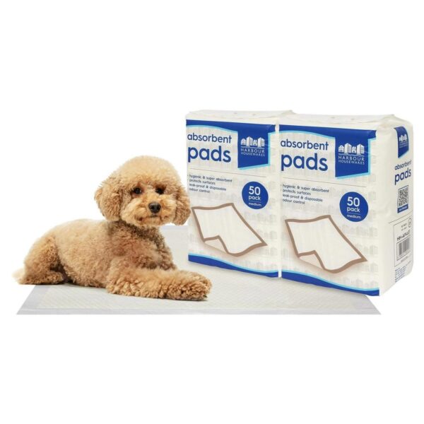 100x Medium Disposab 5b7fd0f7806a50e960555dd580bd9b78